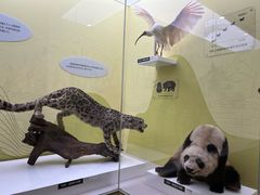 -国家自然博物馆