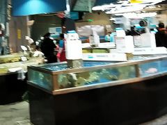 -盒马鲜生(莱蒙都会店)