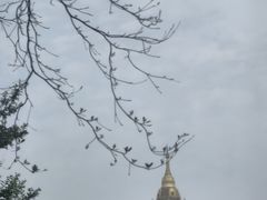 -云南勐巴娜西珍奇园