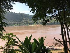 -Saffron Coffee
