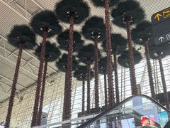 -广州白云国际机场-T2航站楼