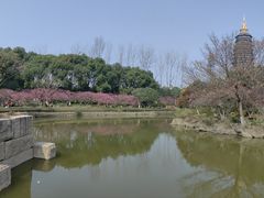 -红梅公园