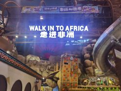 -卡通尼·Safari非洲探索乐园·生日会(金桥国际商业广场店)