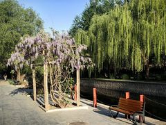 -元大都城垣遗址公园