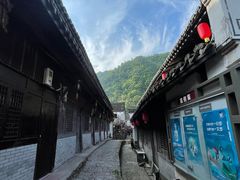 -四明山国家森林公园