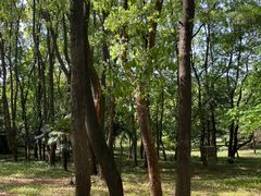 -东湖落雁景区