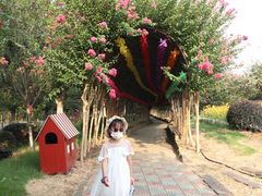 -武汉紫薇都市田园