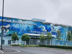 -芜湖新华联大白鲸海洋公园