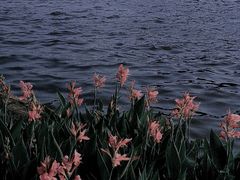 -南国桃园旅游度假区