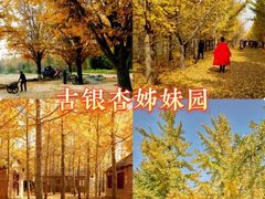 -艾山风景名胜区