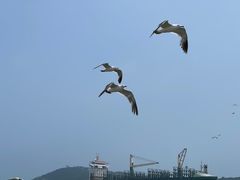 -海驴岛(荣成市)