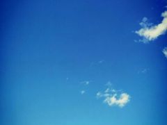 -哈尔滨北方森林动物园