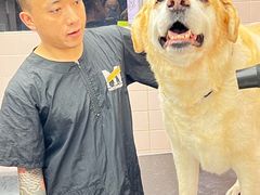-FAELING PETS美天灵宠物(富力广场店)