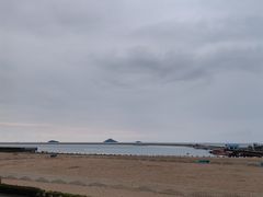-上海金山滨海铂骊酒店-铂雅全日餐厅