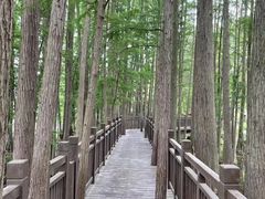 -东湖落雁景区