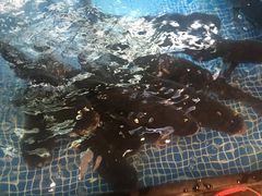 -秀水人家