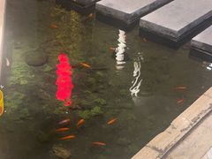 -华夏良子·足道SPA艾灸(翠微店)