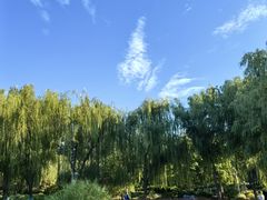 -莲花池公园