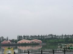 -上海长兴岛郊野公园