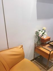 -YESIDO椰岛造型