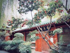 -环城公园
