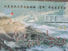 -北京鹫峰国家森林公园