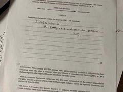 -新航道雅思托福·留学·考研培训(人民广场校区)