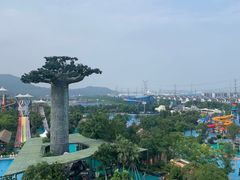 -苏州乐园森林水世界