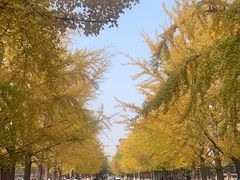 -辽宁大学(崇山校区)