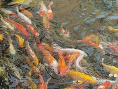 -番禺宾馆丽苑厅