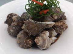 风味捞汁海螺-金海湾海鲜总店