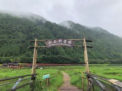 景点-腾冲北海湿地