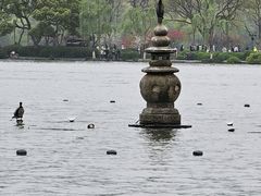 -西湖游船
