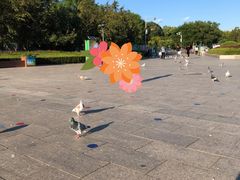 -府君山公园