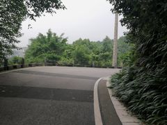 -重庆平顶山公园