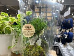 -无印良品(京都BAL店)