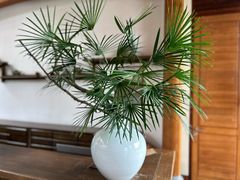 -和顺柏联温泉