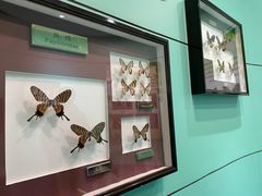 -上海昆虫博物馆