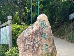 -梧桐山风景名胜区