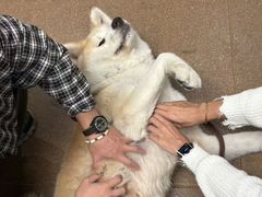 -YCHL Studios健身工作室(市二宫店)