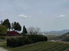 -乌石村
