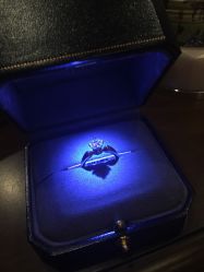 点击看大图 -钻石小鸟钻戒婚戒定制(石路店)
