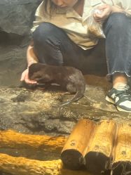 -Zoolung Zoolung动物主题公园(海信广场店)