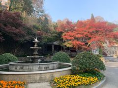 -莫干山风景区