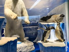 -国家自然博物馆