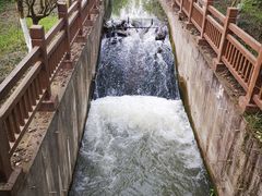 -桤木河湿地公园