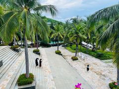 -日落吧·海景咖啡厅·餐酒吧·鸡尾酒·下午茶·乐队表演·浪漫夕阳·三亚文华东方酒店