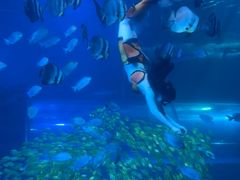 -太平洋海底世界