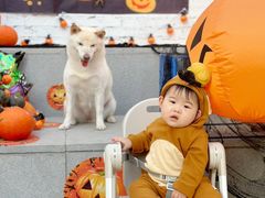 -小意思咖啡店(草桥店)