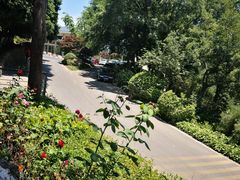 -上海市保健医疗中心(华东疗养院)